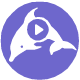 Populer Video